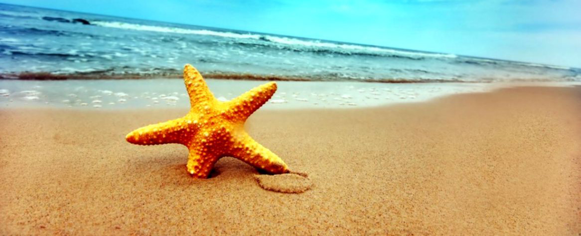 Summer Holidays inspiration; Starfish lying on a beach